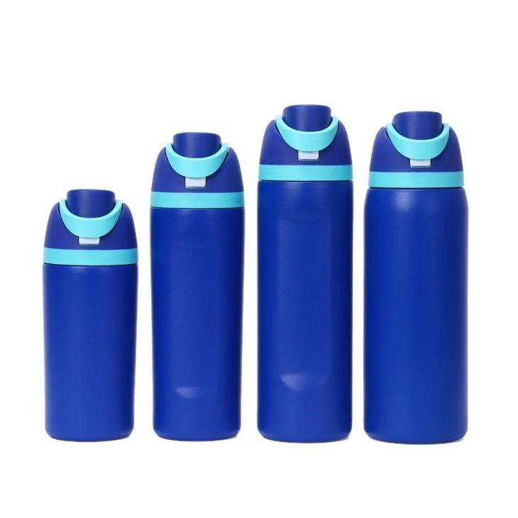 Stainless Steel Water Bottle Freesip
